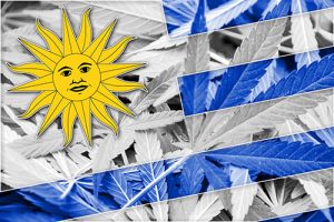 Rechtslage Cannabis in Uruguay